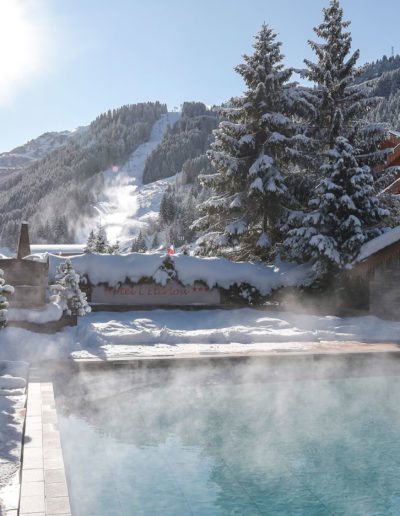 Chalet avec piscine